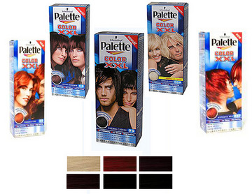 Ilagalaikiai plaukų dažai Palette Color XXL