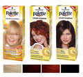 Dažantis šampūnas Palette Color Shampoo